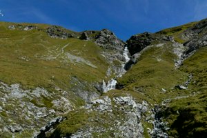 IMG_1556.jpg