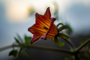 IMG_6823.jpg