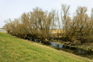 IMG_8850.jpg