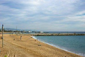 IMG_9785.jpg