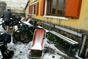 IMG_1129.jpg