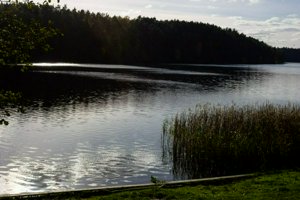 IMG_0343.jpg