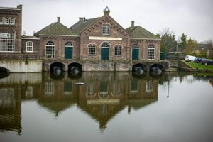 IMG_8992.jpg