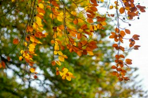 IMG_8283.jpg