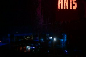 IMG_0434-Enhanced-NR.jpg