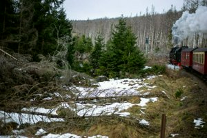 IMG_1218.jpg