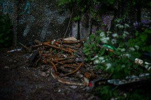 IMG_0766.jpg