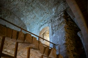 IMG_9758.jpg