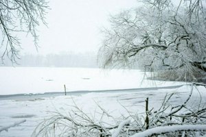 IMG_0267.jpg