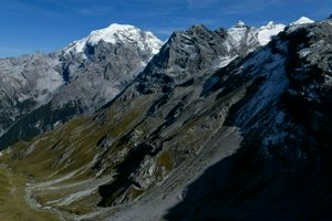 IMG_1854.jpg