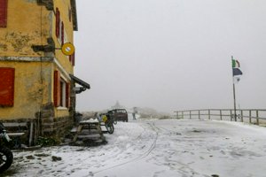 IMG_1137.jpg